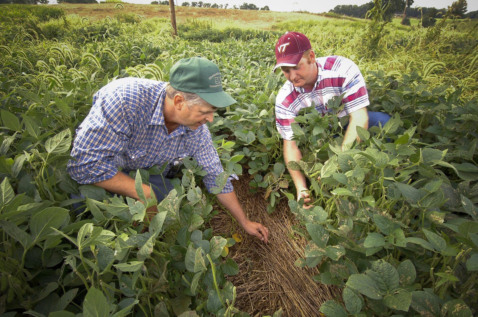 Farmers in Rockingham County, Virginia